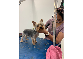 Dog Grooming USA - Hialeah, FL Pet Grooming - Service Highlights