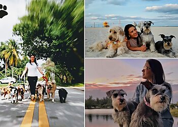 Miami Dog Walkers Dog Lovers Miami Corp