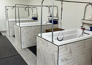 Ann Arbor Pet Grooming Dog O Mat