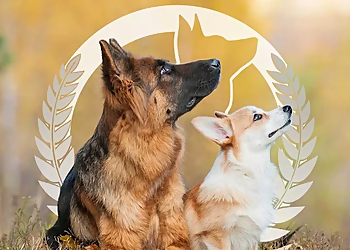 Dog Training Elite - Nashville, TN Dog Training - Service Highlights