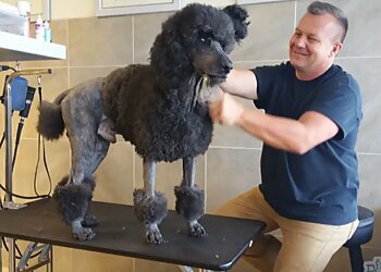 Arlington Pet Grooming Dog Wash