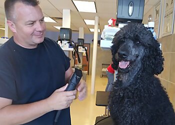 Arlington Pet Grooming Dog Wash