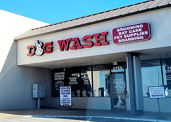 Dog Wash Arlington Pet Grooming