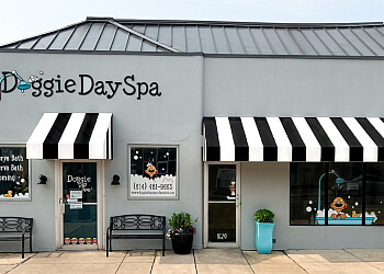 Doggie Day Spa Grooming and Self Serve Salon Columbus Pet Grooming