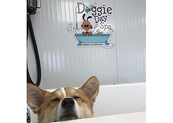 Columbus Pet Grooming Doggie Day Spa Grooming and Self Serve Salon