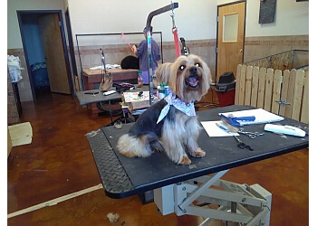 Dog Groomer Albuquerque