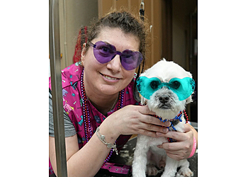 Corona Pet Grooming Doggie Spa Corona