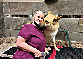 Corona Pet Grooming Doggie Spa Corona