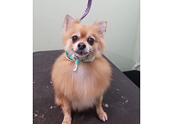 Kansas City Pet Grooming Doggie Style Bowtique