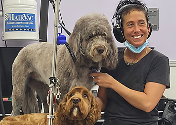 Salt Lake City Pet Grooming Doggie in the Window, LLC.