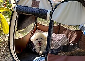 Anchorage Dog Walkers Doggy Adventures, LLC