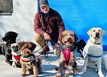 Oakland Dog Walkers Doggy Lama Pet Care, Inc.