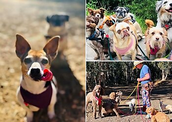 Oakland Dog Walkers Doggy Lama Pet Care, Inc.