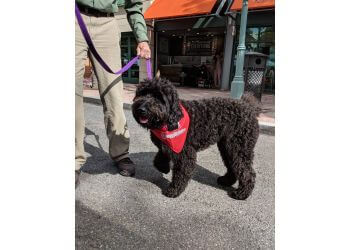 Doggywalker.com Doggywalker.com