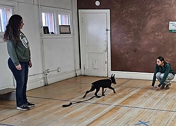 Milwaukee Dog Training Dog's Best Friend