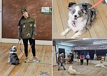 Milwaukee Dog Training Dog's Best Friend