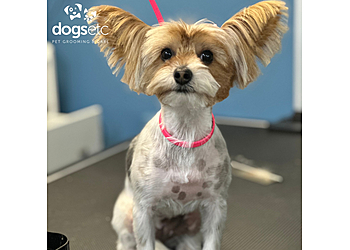 Santa Clarita Pet Grooming Dogs Etc