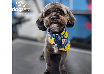 Santa Clarita Pet Grooming Dogs Etc