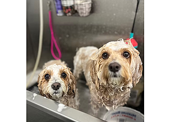 Yonkers Pet Grooming Dogs World Grooming