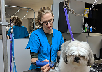 Dogterra Grooming, LLC - Greensboro, NC Pet Grooming - Service Highlights