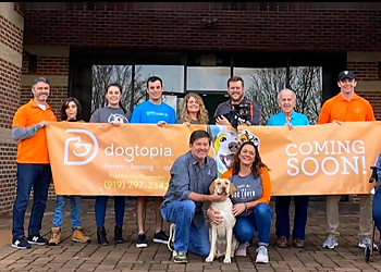 Cary Pet Grooming Dogtopia of Harrison Ave