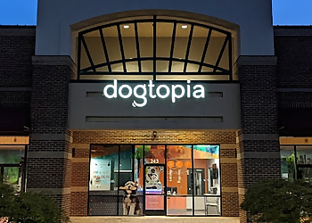 Dogtopia of Harrison Ave Cary Pet Grooming image 1