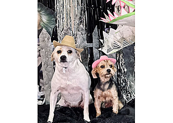 Waco Pet Grooming Dogtopia of Waco