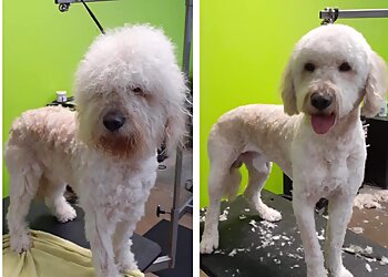 Atlanta Pet Grooming Doguroo
