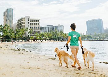 Honolulu Dog Walkers Dogwalker Etc.