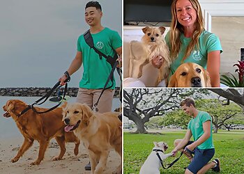 Honolulu Dog Walkers Dogwalker Etc.