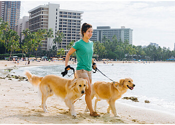 Dogwalker Etc. Honolulu Dog Walkers