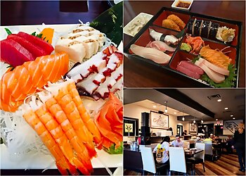 Toledo Sushi Domo Sushi