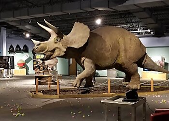 Amarillo Places To See Don Harrington Discovery Center