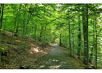 Alexandria Hiking Trails Dora Kelley Nature Park