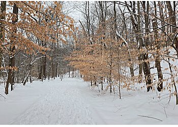 Alexandria Hiking Trails Dora Kelley Nature Park