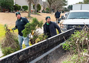 McKinney Landscaping Companies Double D Landscapes