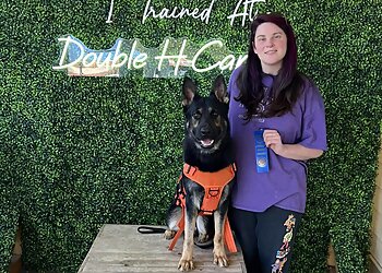 Louisville Dog Training Double H Canine Training Academy