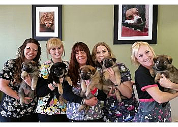 Roseville Veterinary Clinics Douglas Boulevard Veterinary Clinic