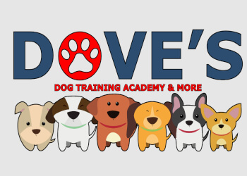 3 Best Dog Training in Lincoln, NE - Expert Recommendations