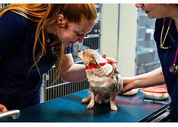 Beaumont Veterinary Clinics Dowlen Road Veterinary Center