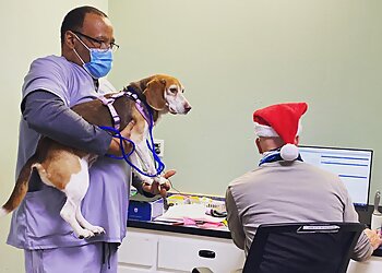 Denver Veterinary Clinics Downtown Animal Care Center