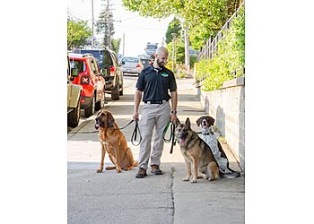 Pittsburgh Dog Walkers Downtown Pittsburgh Dogs