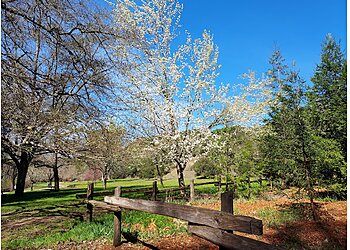 Oakland Hiking Trails Dr. Aurelia Reinhardt Redwood Regional Park