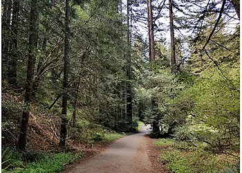 Oakland Hiking Trails Dr. Aurelia Reinhardt Redwood Regional Park