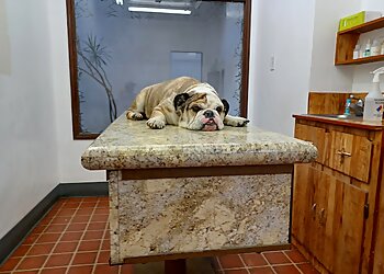 Riverside Veterinary Clinics Dr. Butchko Veterinary Hospital