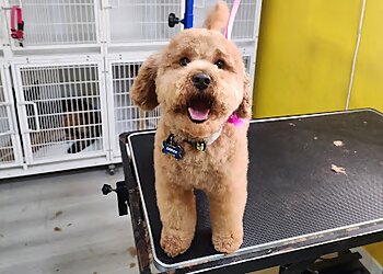 Riverside Veterinary Clinics Dr. Butchko Veterinary Hospital