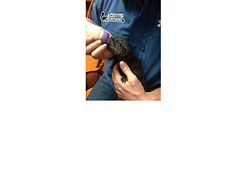 Orlando Animal Removal Dr. Critter Wildlife & Animal Control