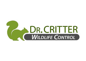 Dr. Critter Wildlife & Animal Control Orlando Animal Removal