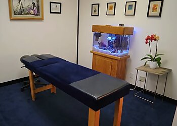 San Francisco Chiropractors Dr. Dan Shapero, DC - SHAPERO CHIROPRACTIC