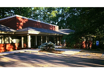 Grand Rapids Psychologists Dave Thornsen, Psy.D. - GR THERAPY GROUP